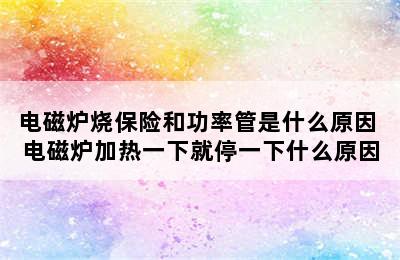 电磁炉烧保险和功率管是什么原因 电磁炉加热一下就停一下什么原因